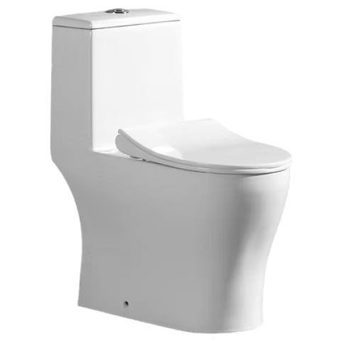 Richford R747 整體式自由咀兒童座廁